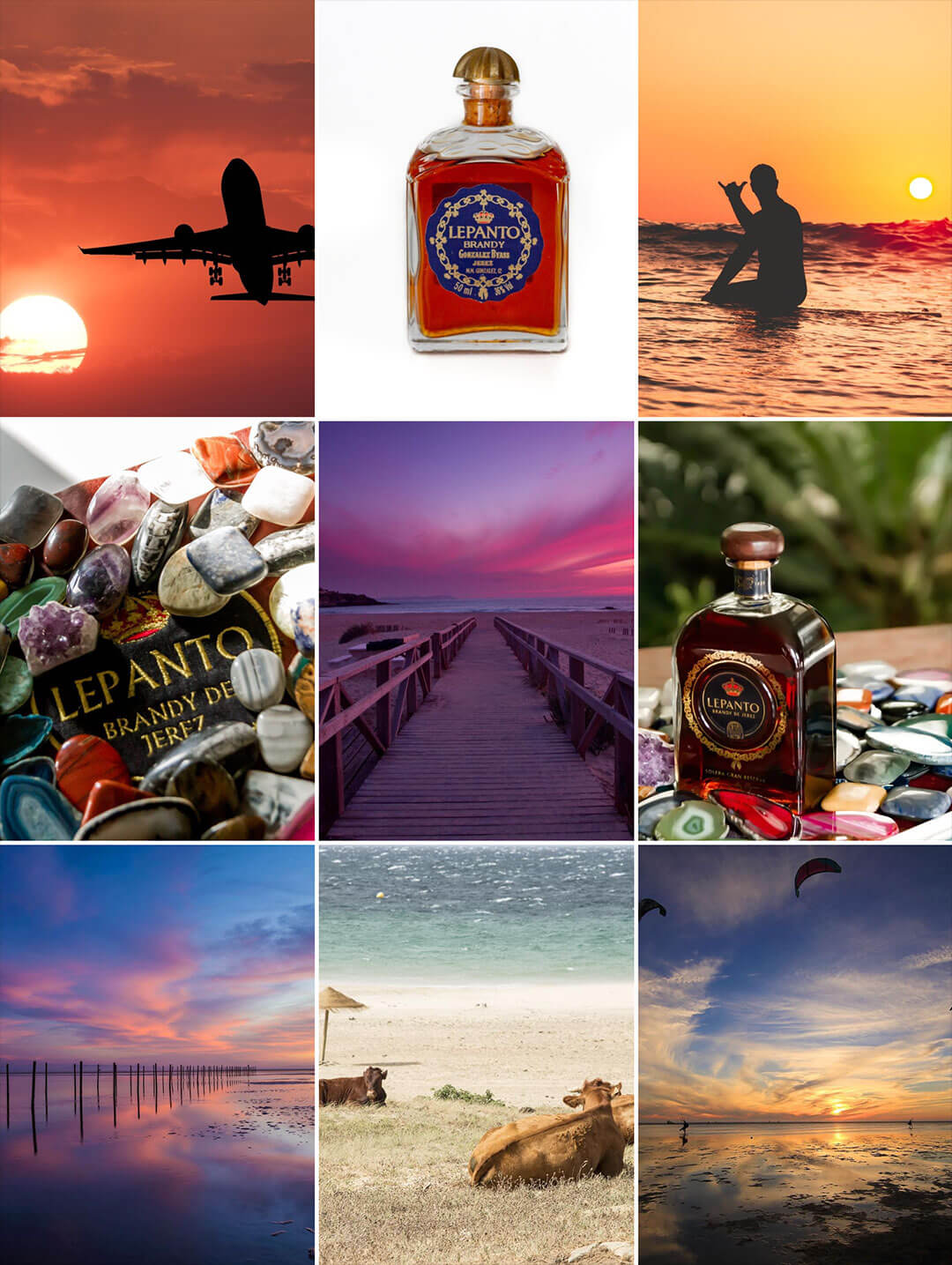 Brandy Lepanto