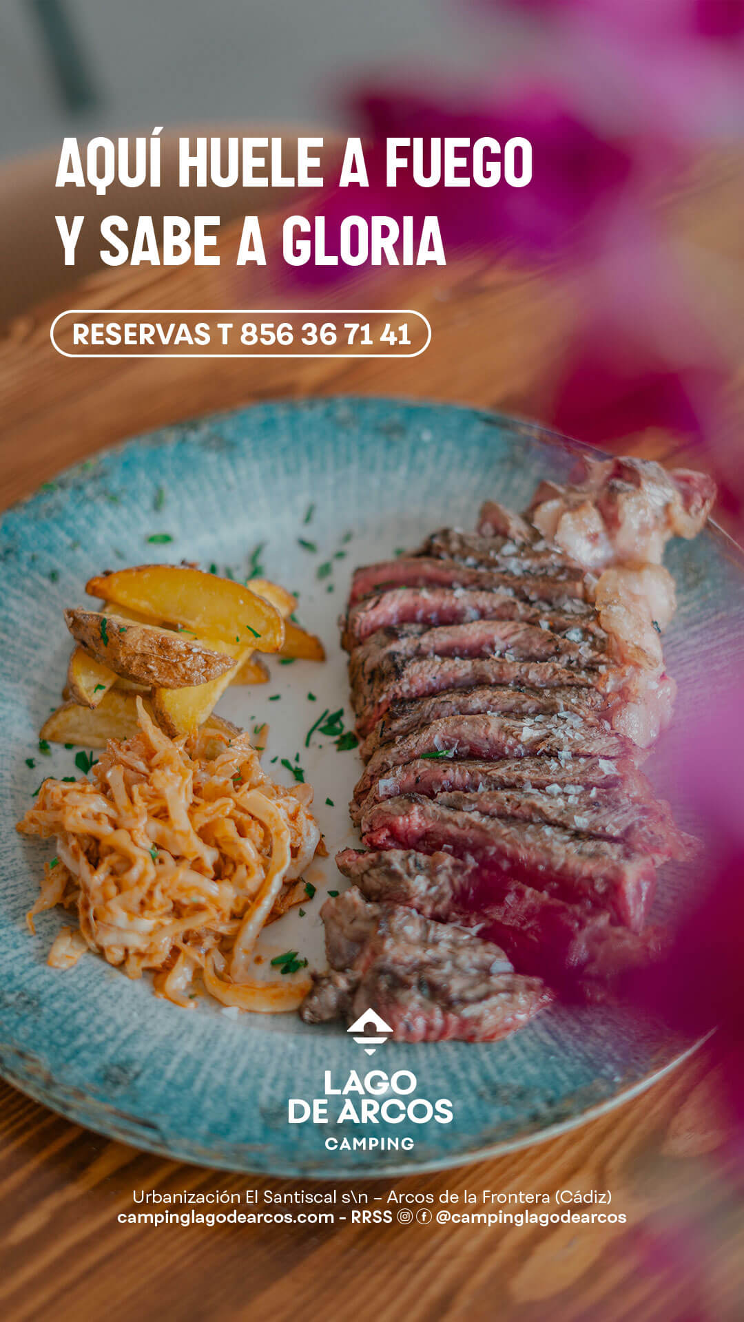 Camping Lago de Arcos