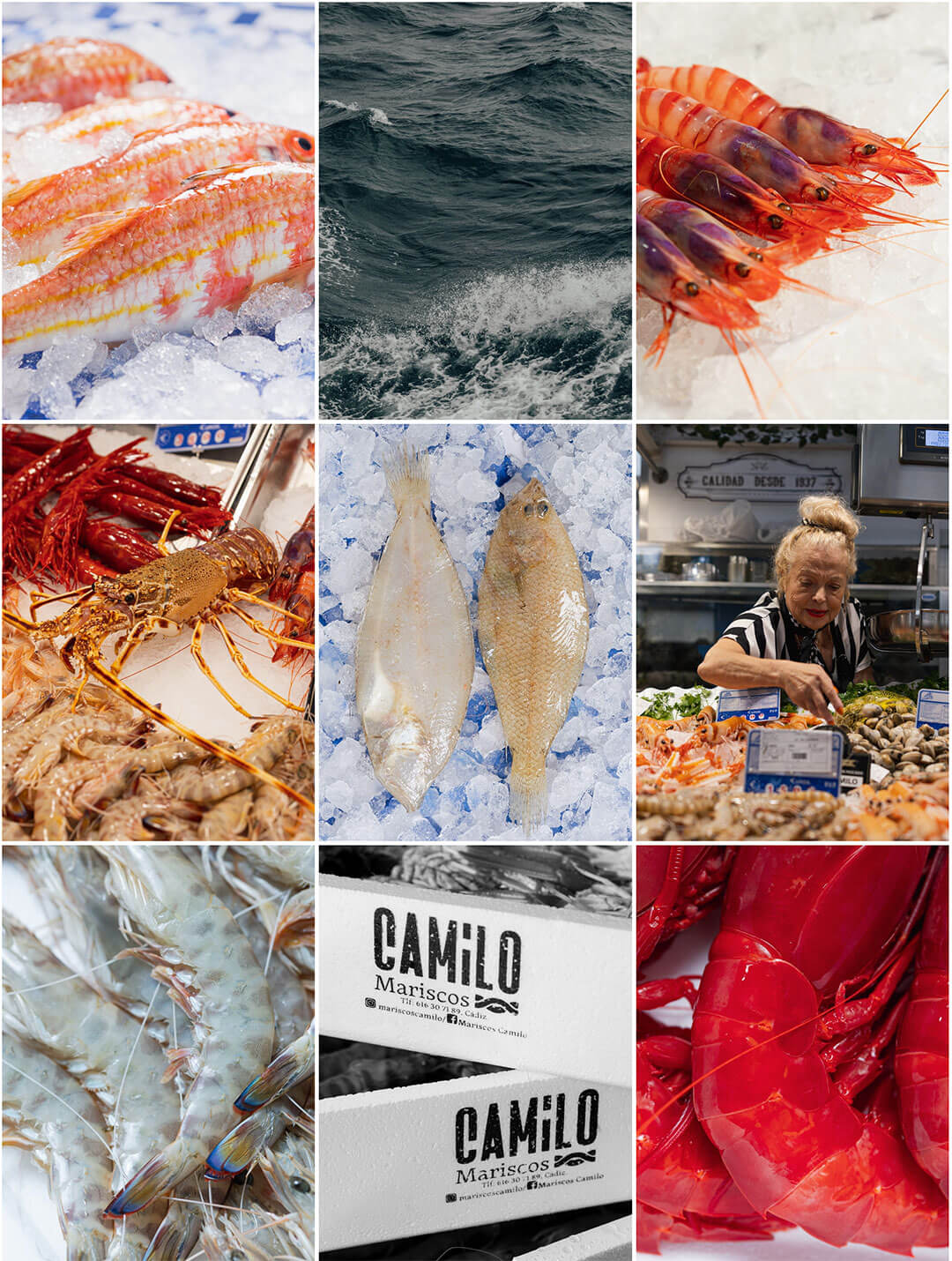 Mariscos Camilo